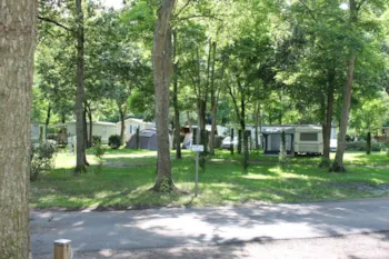 Emplacement - Emplacement Voiture Avec Caravane, Tente Ou Camping-Car + 2 Adultes Inclus + Électricité 10 A - Camping Les Acacias