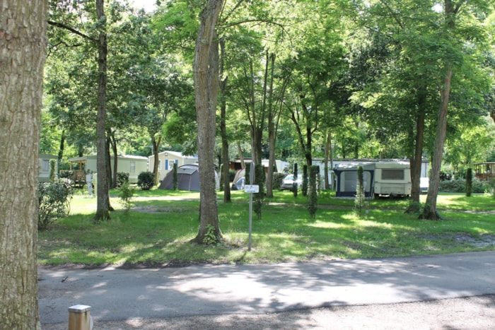 Emplacement Voiture Avec Caravane, Tente Ou Camping-Car + 2 Adultes Inclus + Électricité 10 A