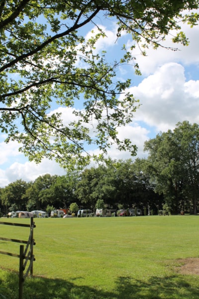 Pitch with car + tent, caravan or camping-car + electricity 10 A + 2 adults included