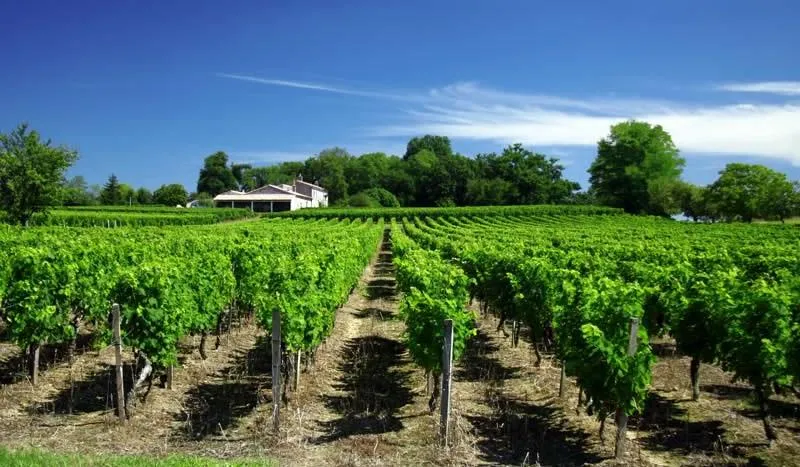 Camping Les Acacias - image n°37 - UniversalBooking