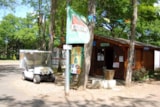 Foto #11 van Camping Les Acacias