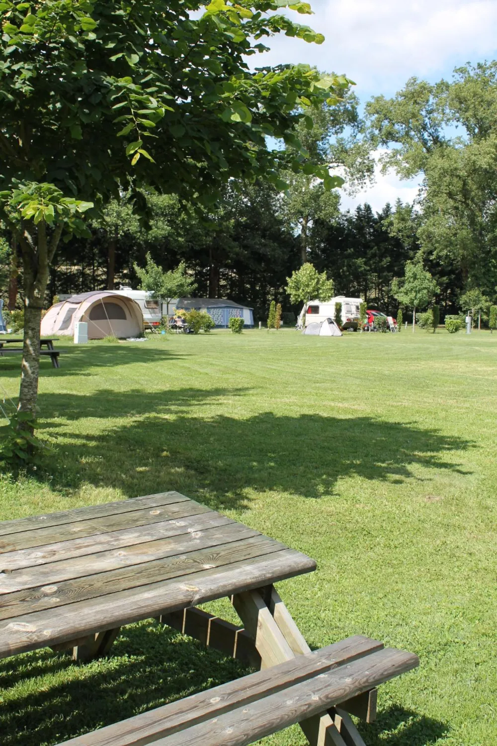 Emplacement - Emplacement Loire À Vélo : 1 Personne, 1 Vélo, 1 Tente - Camping Les Acacias