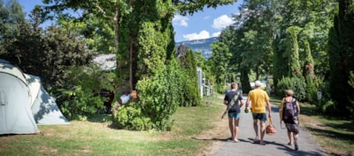 Camping Onlycamp Au Coeur du Lac