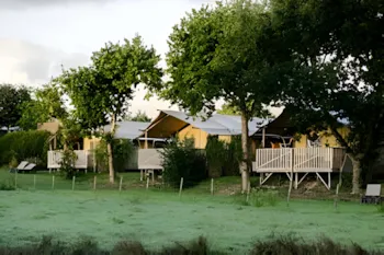 Mietunterkunft - Zelt Glamping Natura **** 35M² - 2 Zimmer- 1 Badezimmer - Yelloh ! Village Les Mouettes