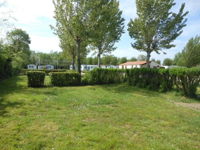 Emplacement + Camping-Car + Électricité