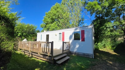 Mobile-home eucalyptus — 1
