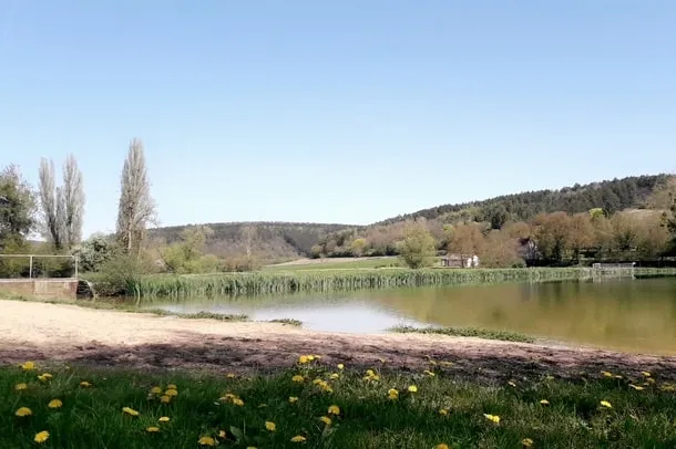 Forfait Camping (Emplacement, 1 Véhicule)