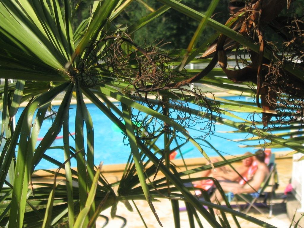 Centre naturiste Terme d'Astor — Photo 2