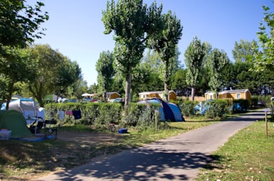 Access pitch - Tent 1 vehicle with electricity — 5