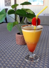 Foto #31 van Camping Le Transat