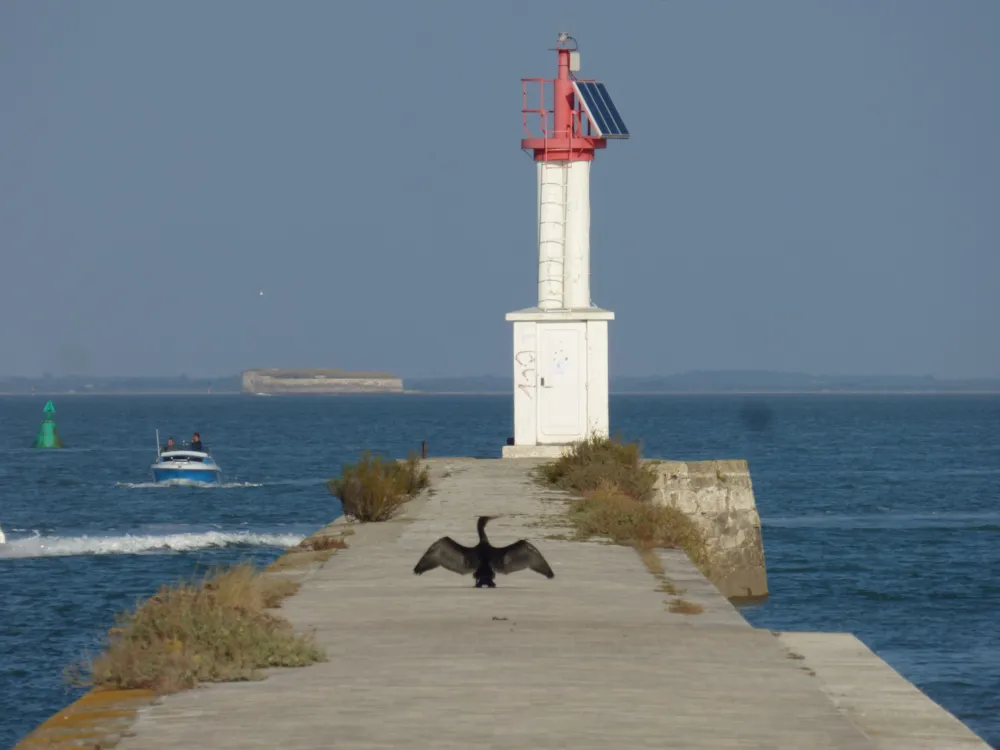 Camping Le Transat