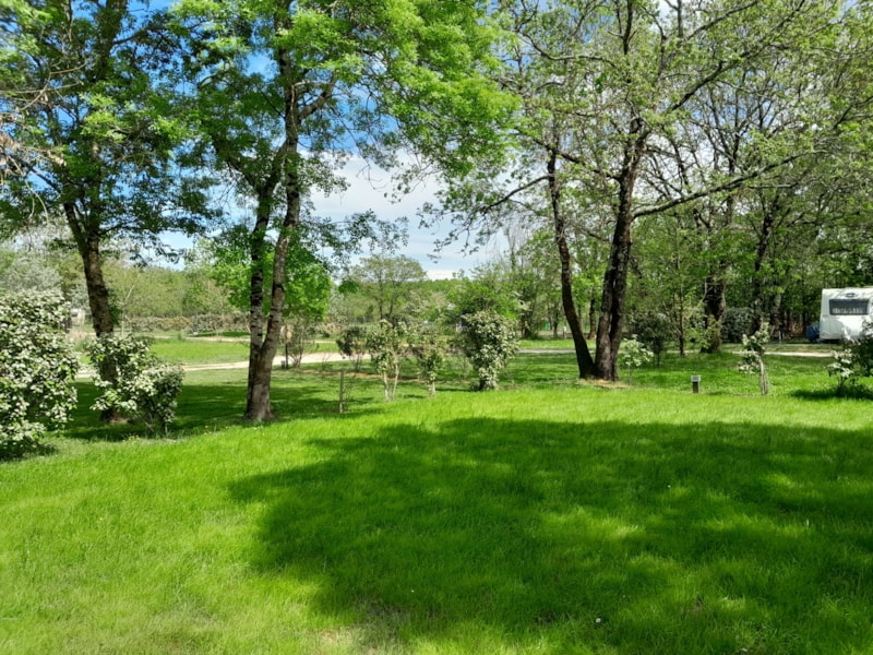 Emplacement : voiture + tente/caravane ou camping-car + électricité 10 A