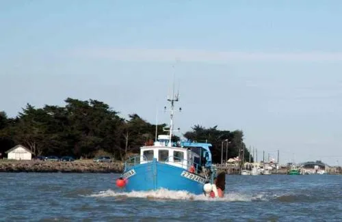 Camping Domaine du Collet