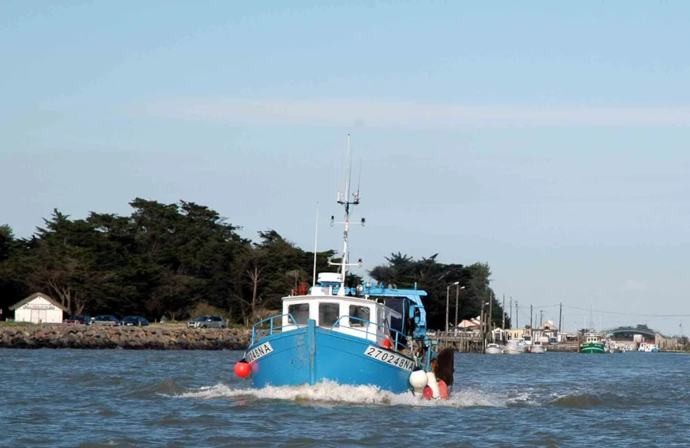 Camping Domaine du Collet - image n°19 - UniversalBooking