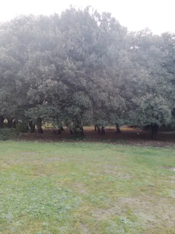 Emplacement - Emplacement Velo - Camping Domaine du Collet