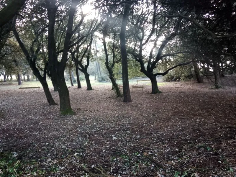 Emplacement Vélo (Avec Électricité) -