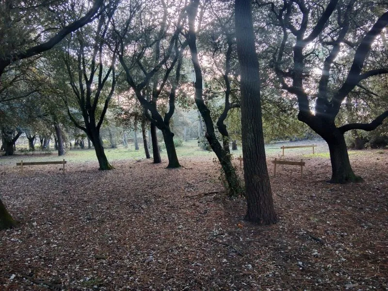 Emplacement Vélo (Avec Électricité) -