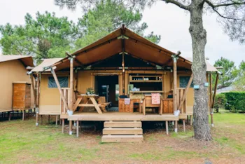 Location - Safari Lodge - Camping Domaine du Collet