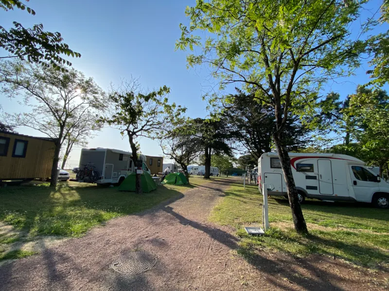 Emplacement Tente / Caravane  + 1 Véhicule