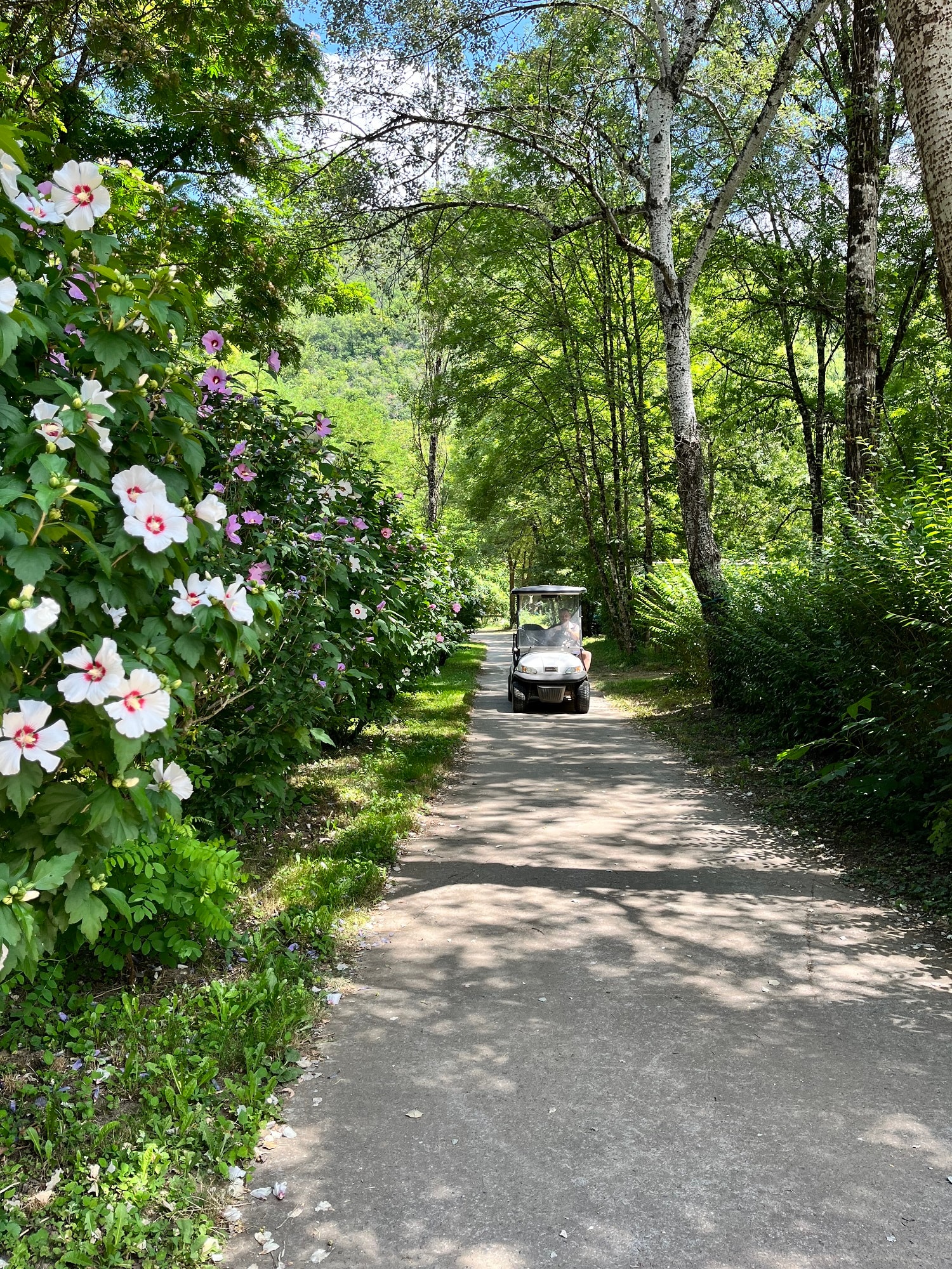 Camping la Prade — Photo 2