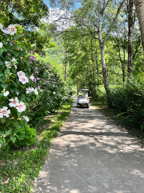 Foto #1 van Camping la Prade