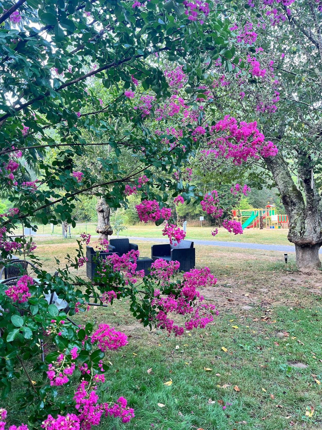 Camping la Prade