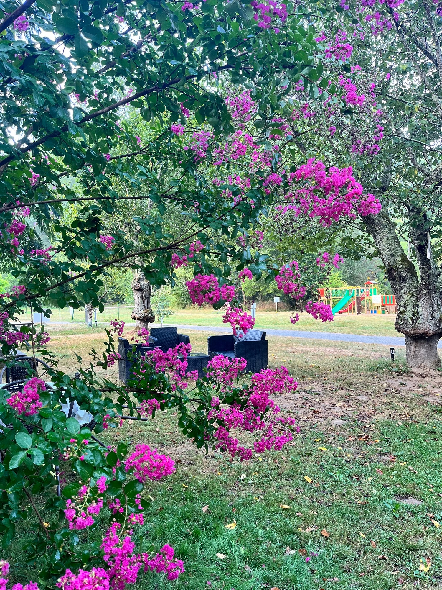 Camping la Prade — Photo 3