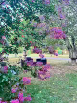 Foto #4 van Camping la Prade