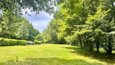 PITCHES NEAR THE RIVER with electricity