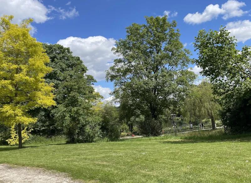 Forfait Classique-1 Personne Véhicule+ Electricité 10 A