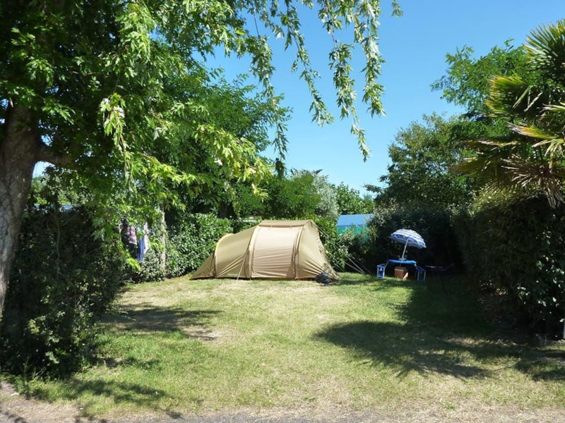 Camping Les Amiaux - Camping - Saint-Jean-de-Monts