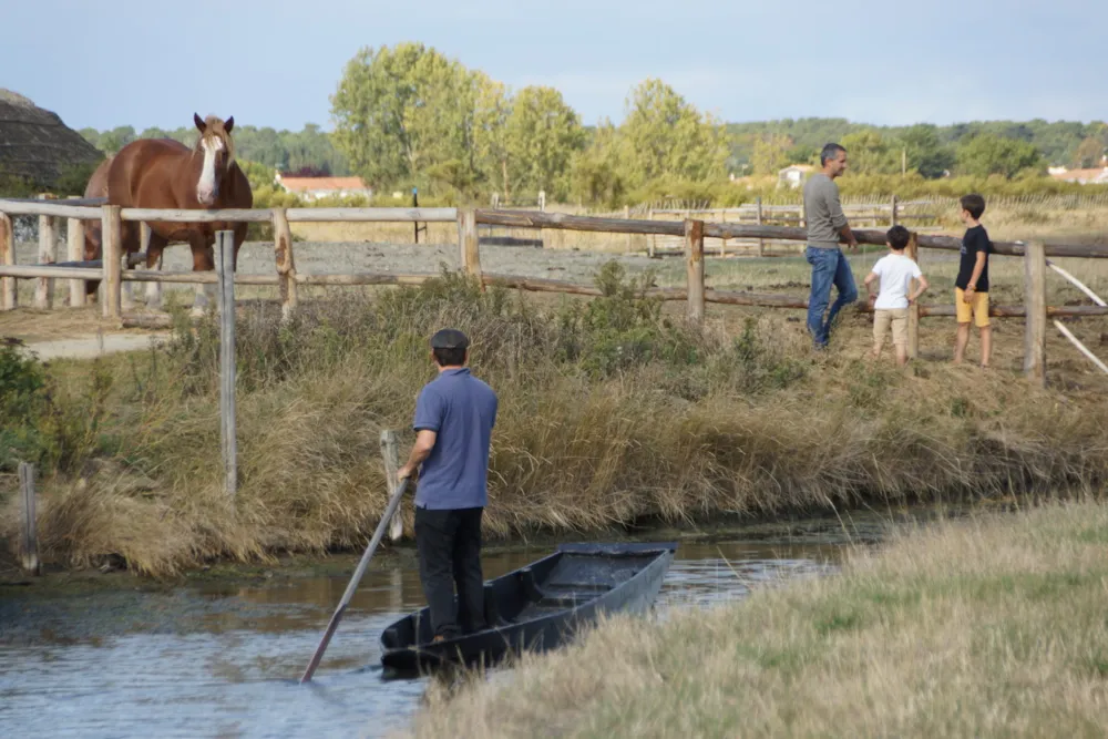 Camping Les Amiaux - image n°30 - UniversalBooking