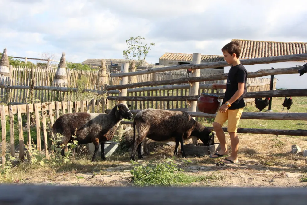 Camping Les Amiaux - image n°31 - UniversalBooking