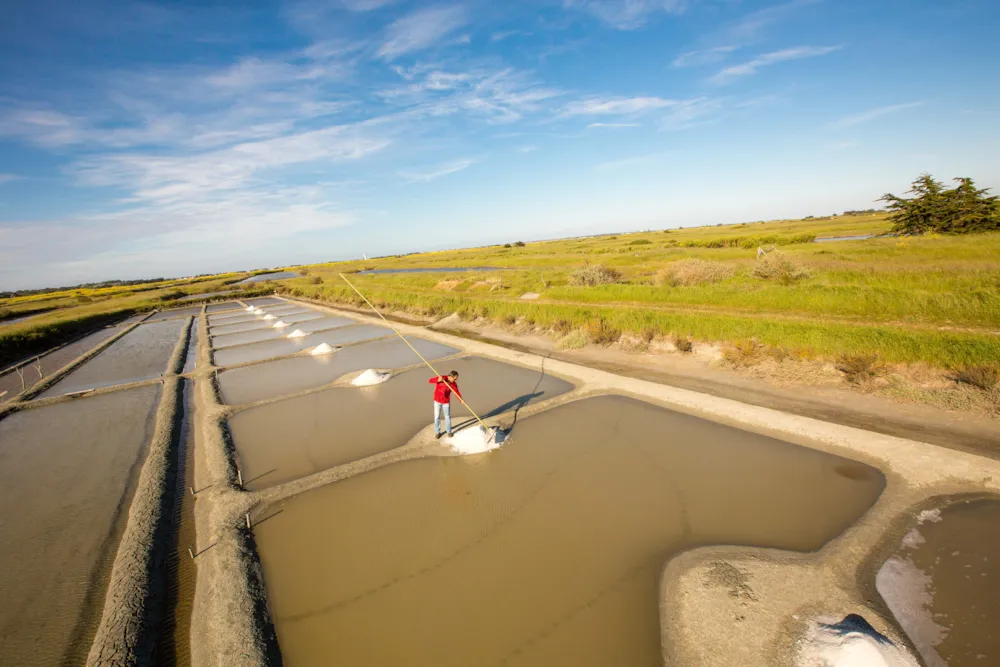 Camping Les Amiaux - image n°34 - UniversalBooking