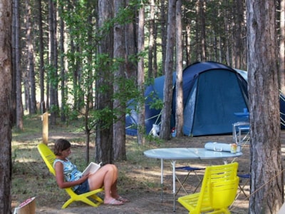 Pitch : tent or caravan + car