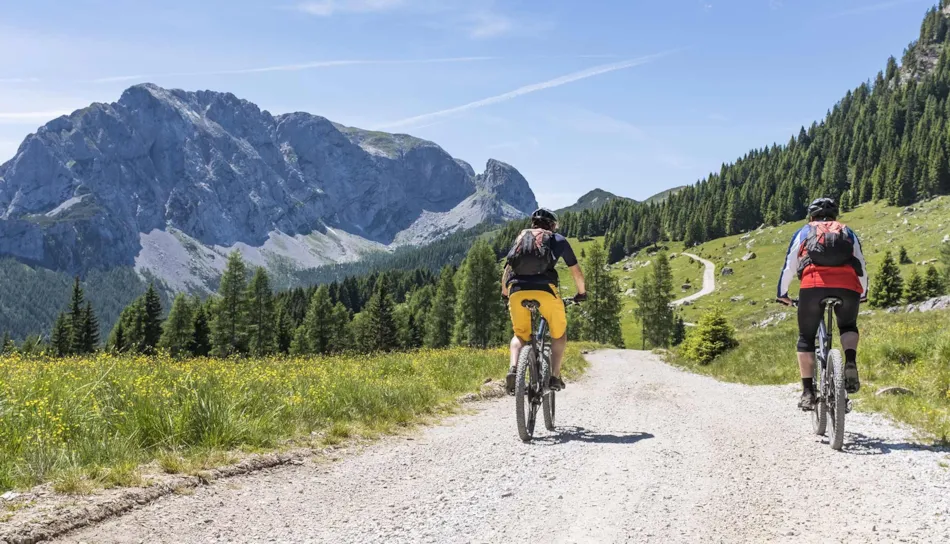 Camping La Sapinette