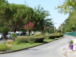Camping Lou Broustaricq Camping Lou Broustaricq