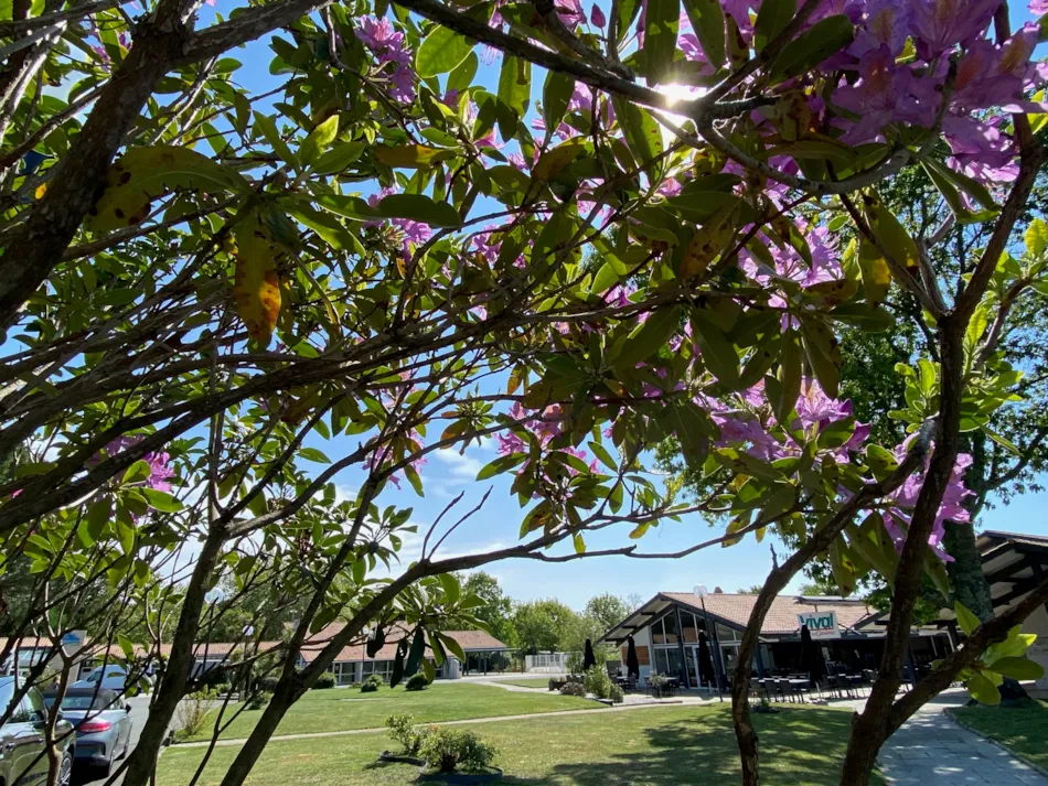 Camping Lou Broustaricq