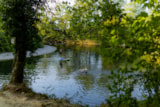 Foto #7 van Camping Des 3 Lacs