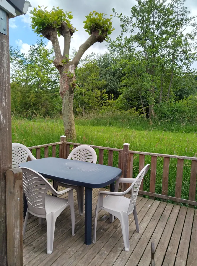 Mobil-Home Confort Tv - 1 Chambre + Terrasse Semi Couverte -