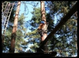 Foto #20 van Camping Les Chelles