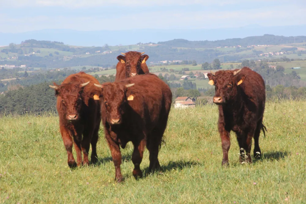 Camping Les Chelles - image n°35 - UniversalBooking