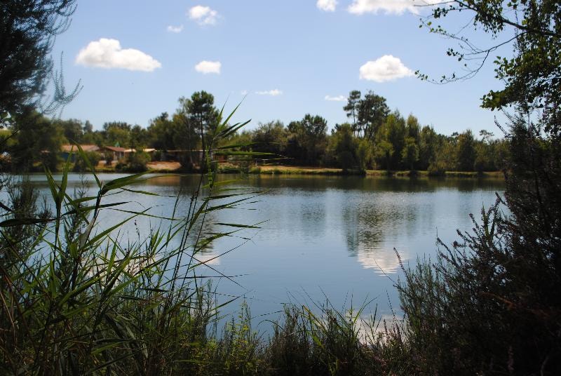  Camping Les Étangs Mina — Foto 2