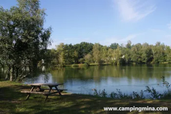 Stellplatz - Stellplatz Privilège (Zelt, Wohnwagen, / 1 Auto / Strom 10A) Wohnmobi+ Am Teich -  Camping Les Étangs Mina