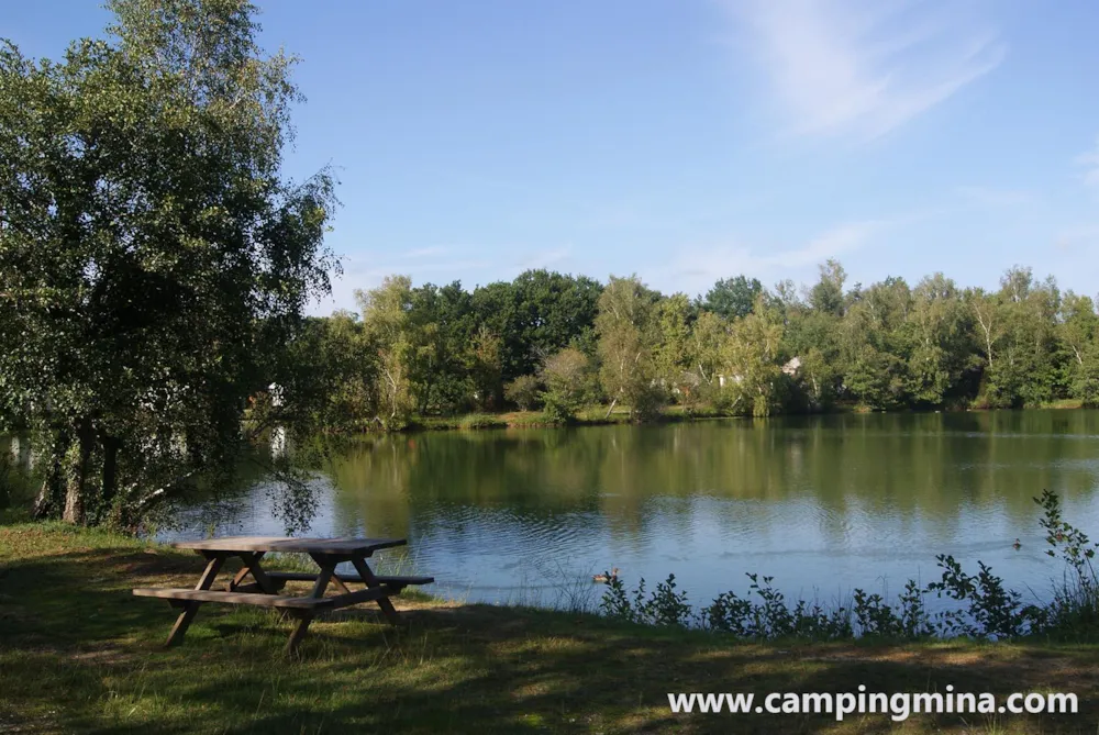 Privilege Package (1 tent, caravan or motorhome / 1 car / electricity 10A) + by a pond