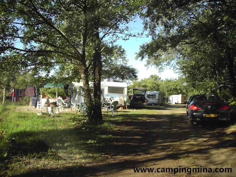 Forfait Privilège (1 Tente, Caravane  / 1 Voiture / Électricité 10A) )Camping-Car/10A+ Sur L'étang 3