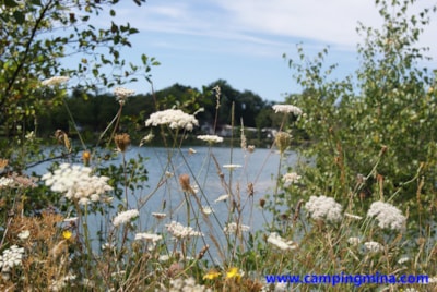 Privilege Package (1 tent, caravan or motorhome / 1 car / electricity 10A) + by a pond — 3