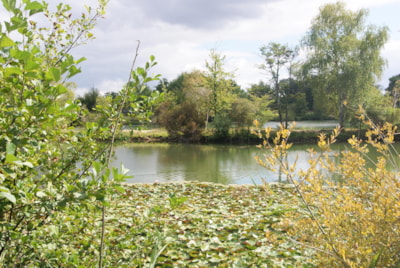 Fisherman's hut 35m² (3 bedrooms) pond side — 5