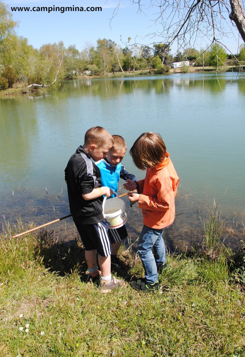 LA CABANE DU PECHEUR, Pond, Fishing rod (2024)