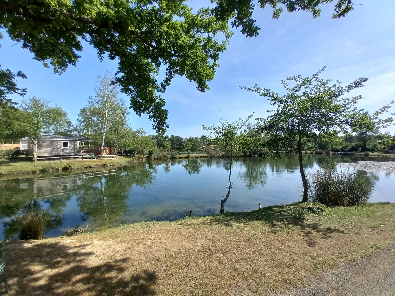  Camping Les Étangs Mina — Foto 5
